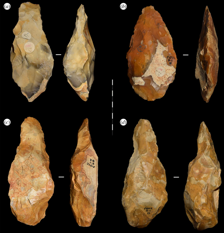 A selection of handaxes found in Fordwich in the 1920s.