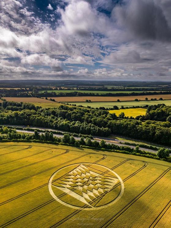 Crop Circles 2022 - Kiteland Cottages, Nr Micheldever Station, Hampshire.  Reported 3rd July. Kite2-1656905088297