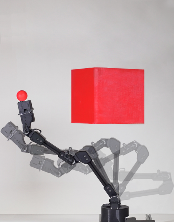 A robot can learn full-body morphology via visual self-modeling to adapt to multiple motion planning and control tasks.