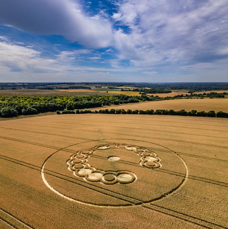 Crop circle: Pilgrim's Trail, near Winchester, Hampshire - Nexus Newsfeed