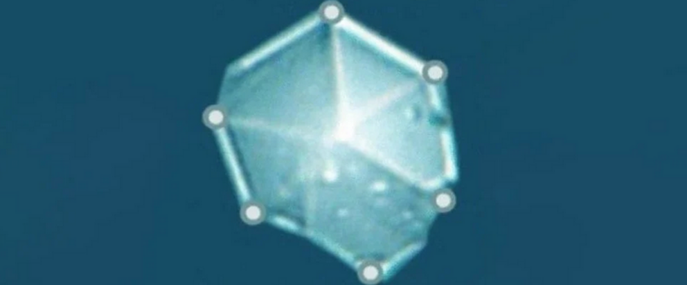 A close up of one of the crystals. (Taskaev et al.)