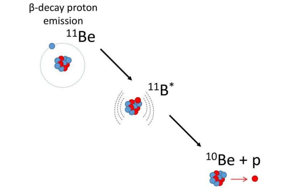 In the team’s experiment published in 2019, beryllium-11 decays through beta decay to an excited state of boron-11, which decays to beryllium-10 and a proton. In the new experiment, the team accesses the boron-11 state by adding a proton to beryllium-10, 