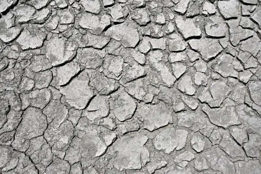 Parts of the Po river bed have dried up entirely as the drought worsens.