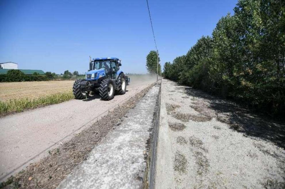 The irrigation canals that run alongside the fields are dry, or nearly so.