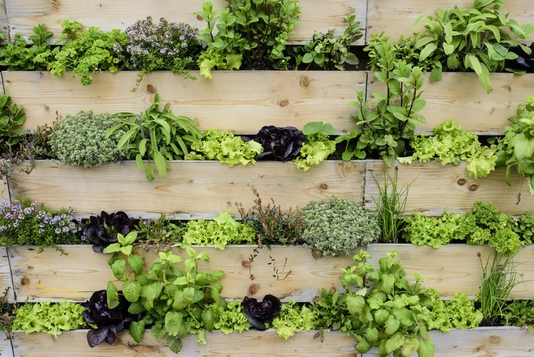 Five Ideas For Simple DIY Vertical Gardens In Small Spaces - Nexus Newsfeed