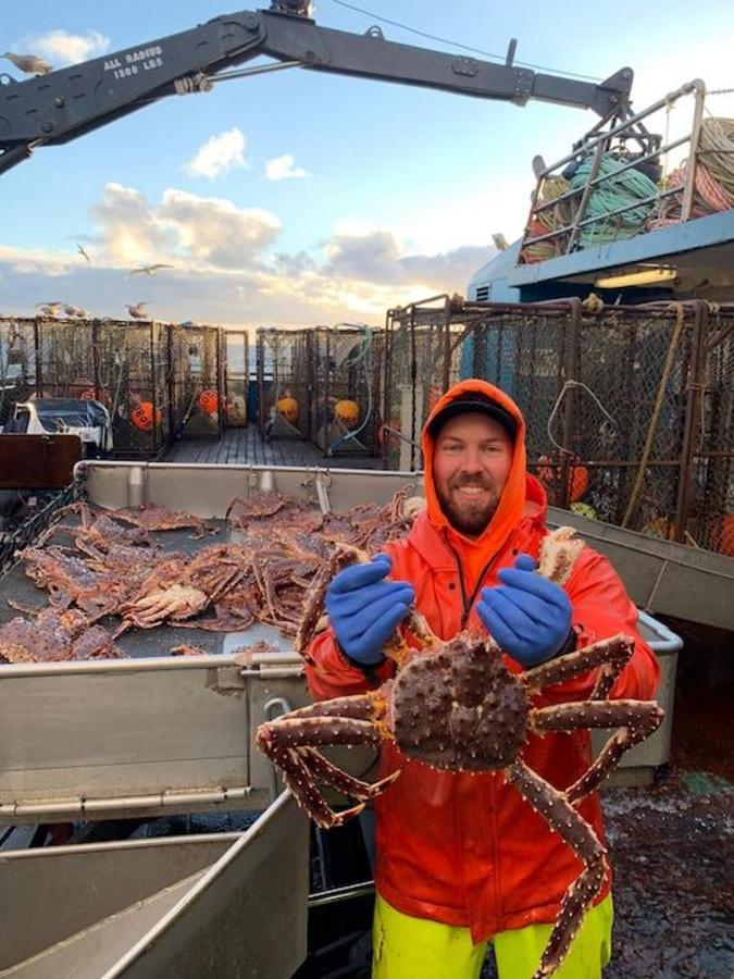 Alaska’s snow crabs have disappeared. Where they went is a mystery