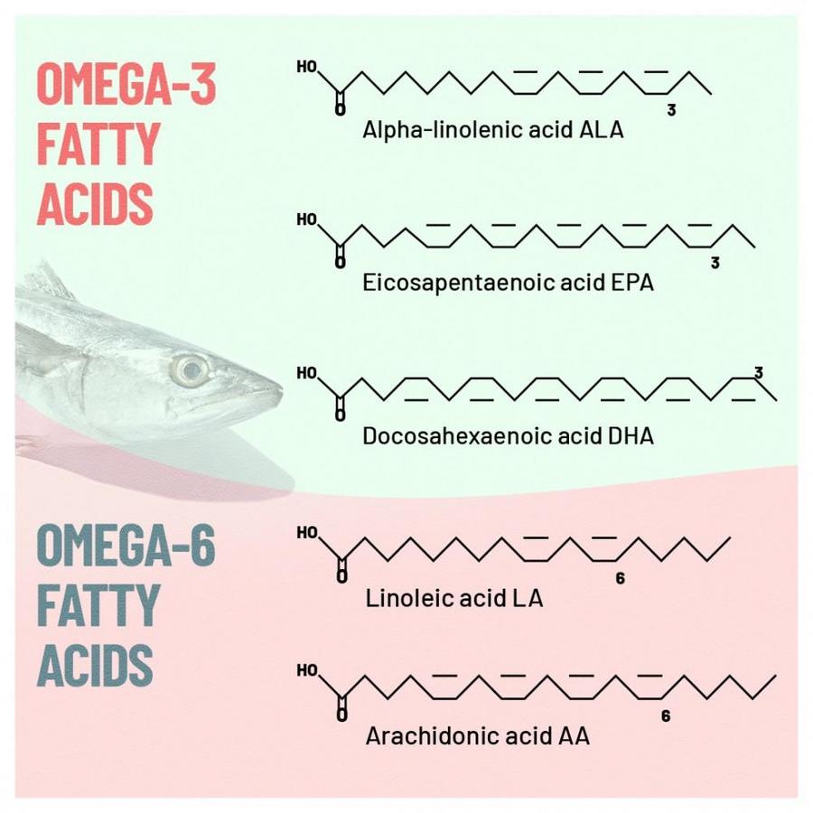 Omega 3 And 6 Salmon And Epo at Michelle Cavazos blog