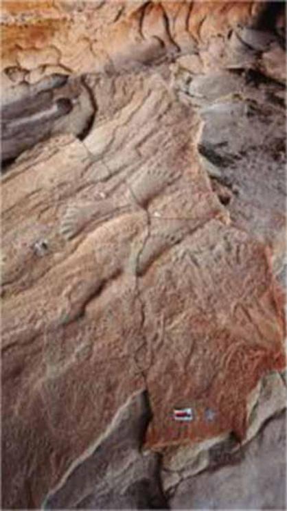 Case-hardened floor surface with 19 engraved human-like feet with varying numbers of toes.