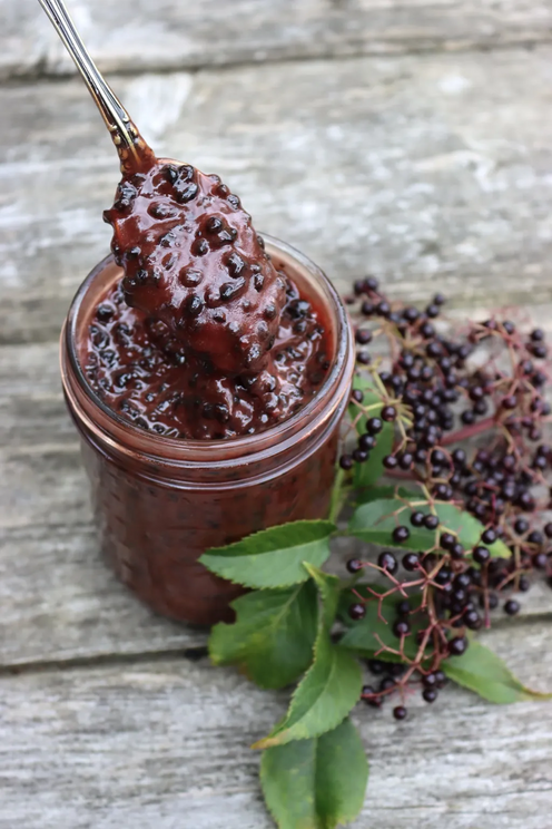 Elderberry Infused Honey