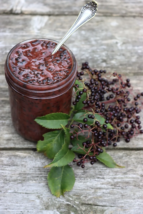 Elderberry Infused Honey