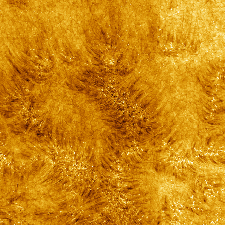 A slice of the Sun's chromosphere in high-resolution, showing hair-like jets of plasma.