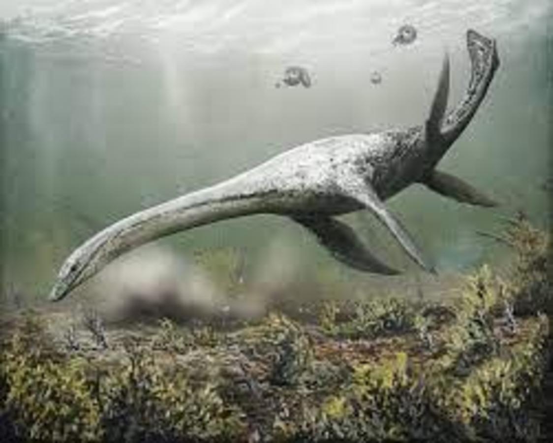 Fifth Nessie Sighting Of 2022 Recorded Nexus Newsfeed