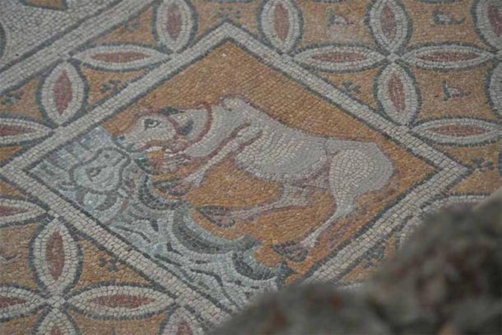 The Hadrianopolis site in Anatolian Turkey near the Black Sea has only been excavated since 2003 and as such is quite new, but it has already become famous for its ancient mosaics like this one.