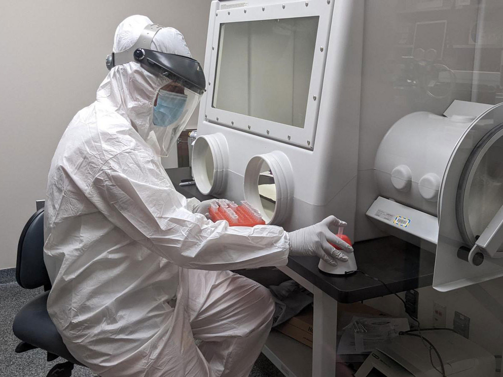 Molecular biologist Bridget Ladell works to extract DNA from samples in a “clean room” at the University of Wisconsin, Madison.