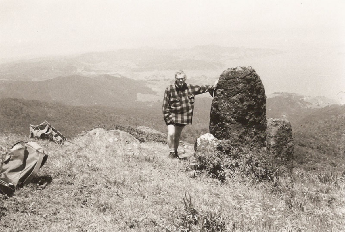 Ancient stand. Мегалиты новой Зеландии. New Zealand History. Tahanga.