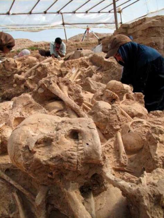 A closeup of one of the deformed skulls, which had been intentionally modified, found in the Neolithic mass grave in Iran.