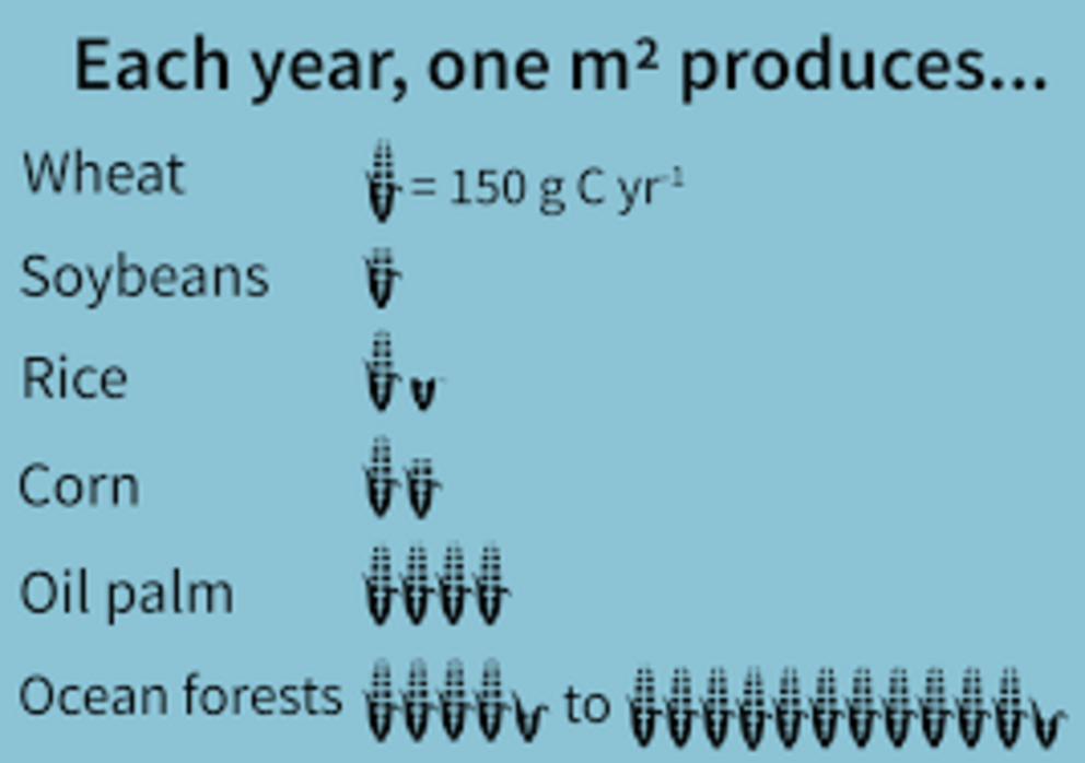 Biomass production of different crops and ocean forests (in grams of carbon per metre squared per year).