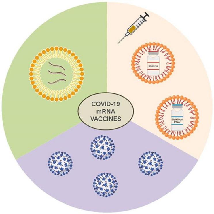 mRNA ‘vaccines’ depend completely on nanoparticles - Nexus Newsfeed