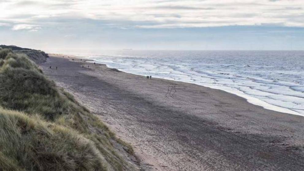 Archaeologists are uncovering fascinating details about the rise and fall of biodiversity based on the Merseyside footprints found at Formby Beach, seen here. This part of the Irish Sea coastline is home to one of the largest collection of prehistoric ani