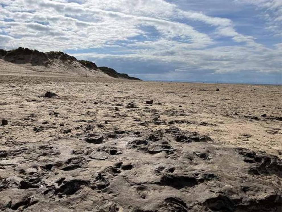 The Merseyside footprints included a footprint bed dating back to the Mesolithic era about 8,500 years ago which was full of red deer hoofprints.