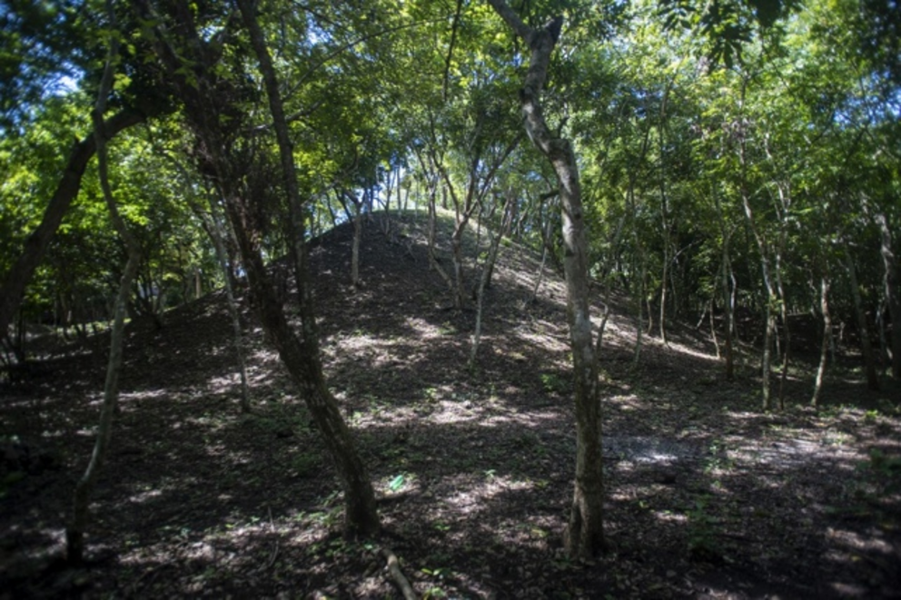 A mound at the Tayasal site.