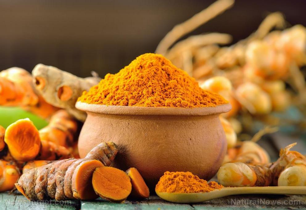 Curcumin found to stop cancer cell growth Turmeric-Powder-Tumeric-Curcumin-Spice-Background-Root-1665088762339