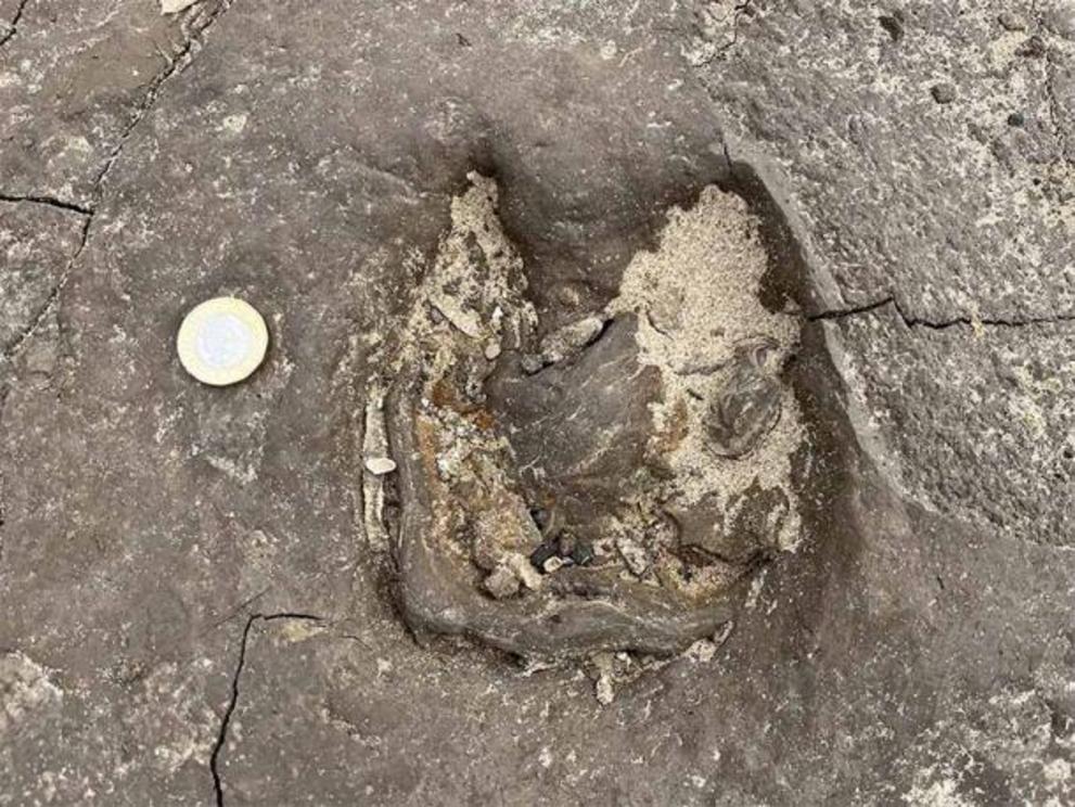 This red deer hoofprint discovered in the ancient mud on Formby Beach was dated to about 8,500 years old and was just one of the many Merseyside footprints found by archaeologists.