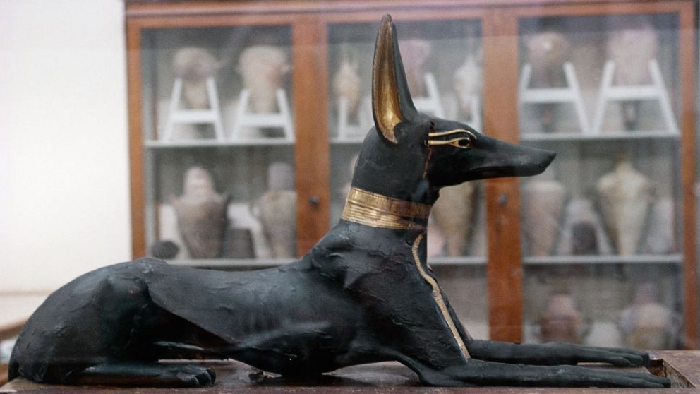 An Anubis statue crafted from wood and gold.