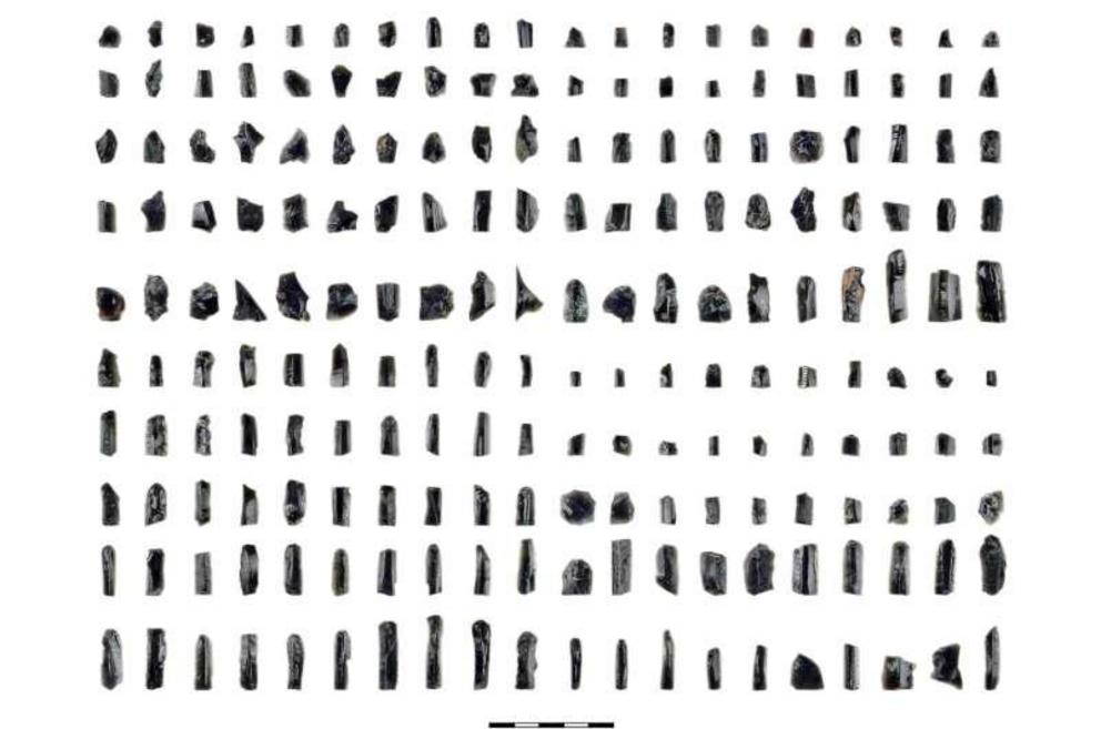 Composite photograph of 200 obsidian artifacts from the MJ Phase of AK. This set is less than 10% of the Deh Luran Plain obsidian corpus chemically analyzed during the course of this study. These blade, bladelet, and flake artifacts are typical of both si