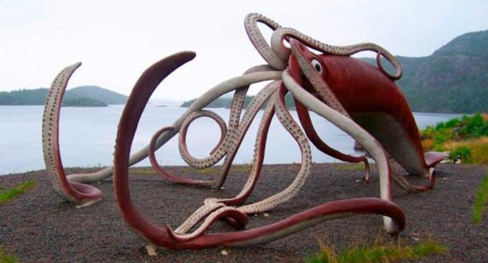 A life size model of the world record-holding giant squid discovered near Glover's Harbor, Newfoundland