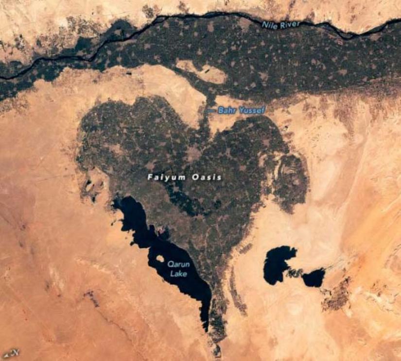 The Faiyum Oasis area of Egypt has supported human life for more than 8,000 years.