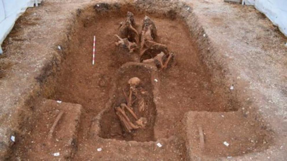 An aerial view of an Iron Age necropolis in Amorosi, Italy, with two skeletons visible in graves.