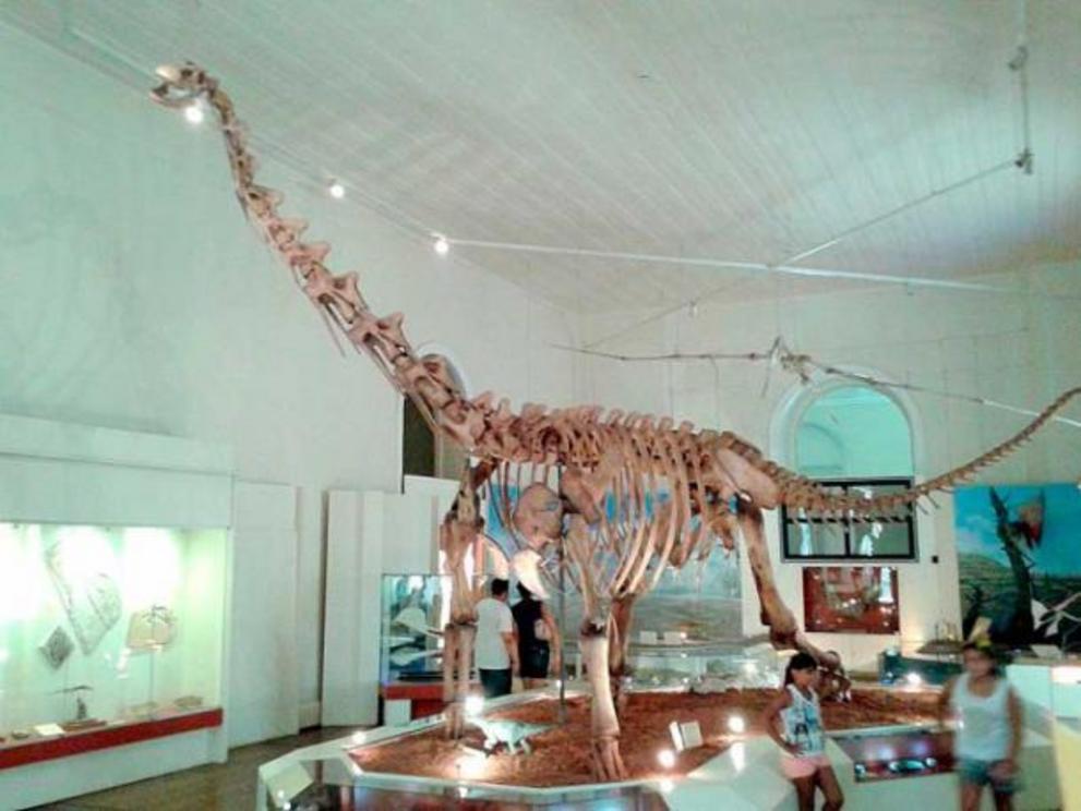 Titanosaurus replica at the National Museum of Brasil.