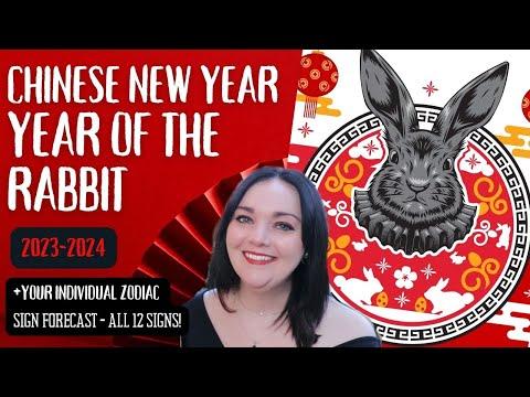 Chinese NEW YEAR 2023 2024 Year Of The RABBIT Deep Dive Video   C 1674307817308 