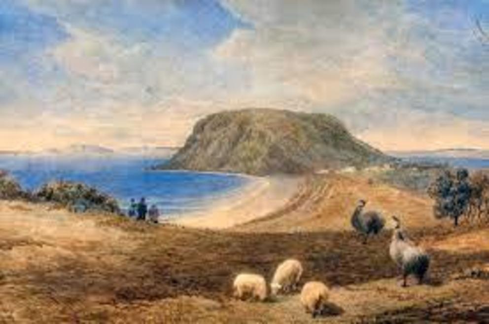 Emus at Stanley, Tasmania, during the 1840s, in a painting by William Porden Kay. They were rare by the middle of that decade.