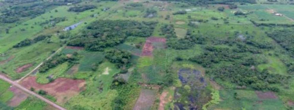 The large Maya complex of Aguada Fénix near Tabasco, Mexico is covered in vegetation that LiDar can penetrate