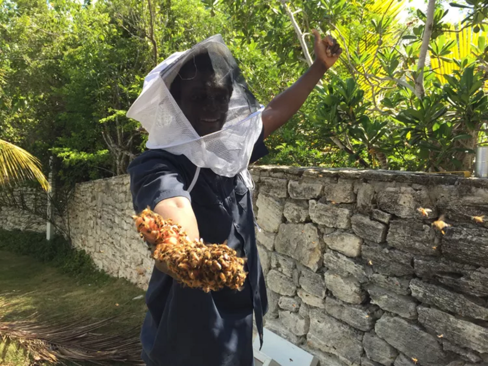 New beekeeper in the Bahamas.