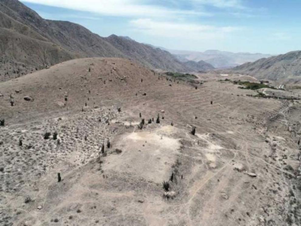 Drone photograph of the temple complex and monumental platform.