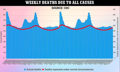 300,000 NON-covid deaths in the USA since 2020 = total failure