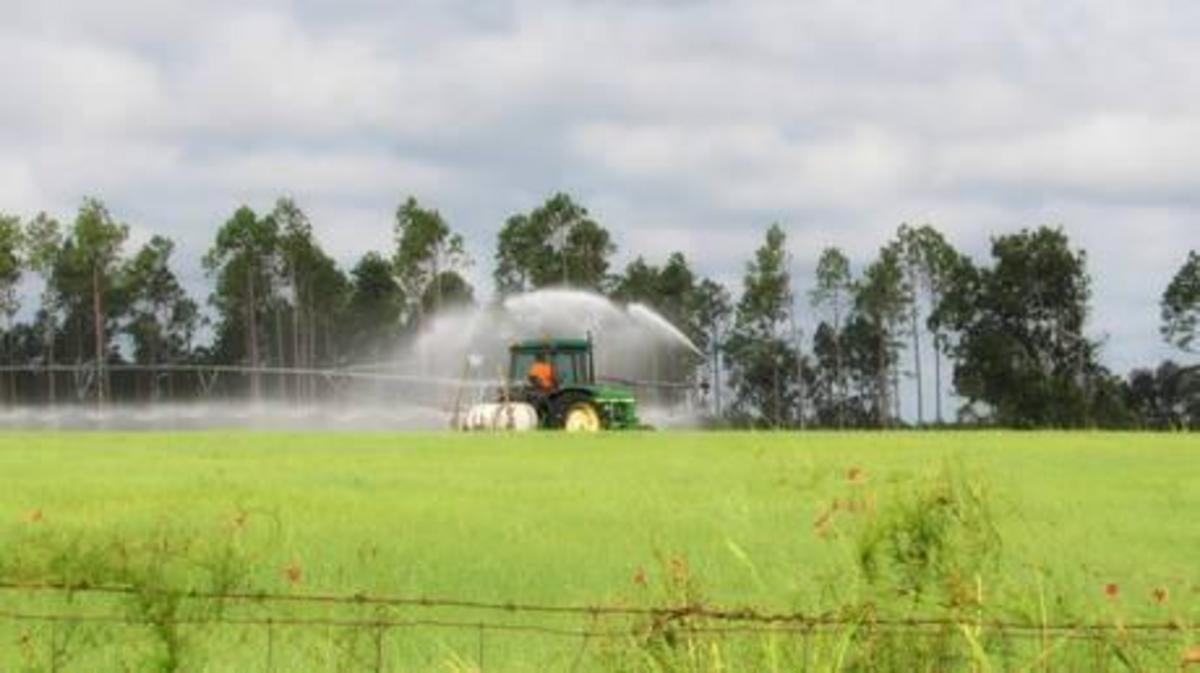 EU to prolong authorization for controversial herbicide - Nexus Newsfeed