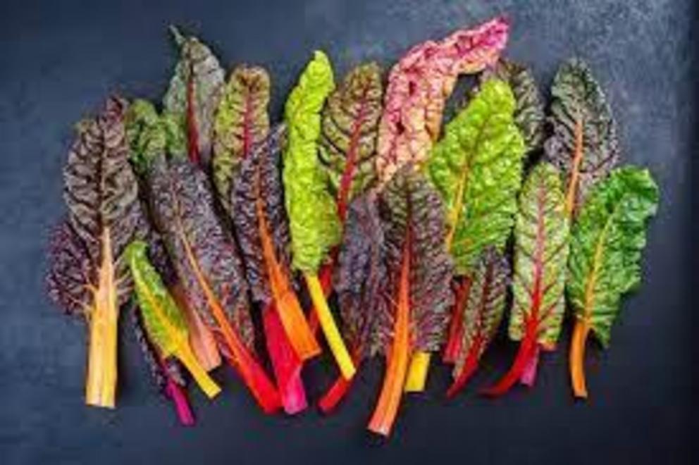 Swiss chard comes in a variety of colours.