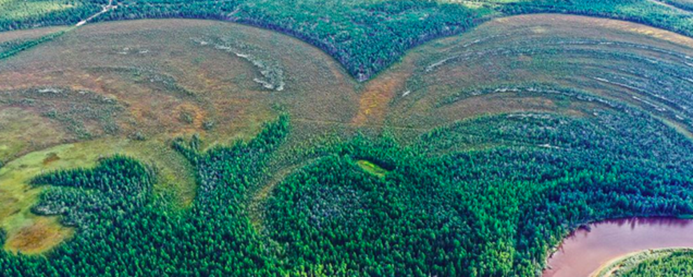 An aerial view of Amnya archaeological sites. (Nikita Golovanov) 