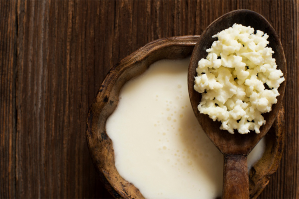 Milk kefir, or fermented milk, has been around for thousands of years, a prized addition to the diet of the North Caucasus. This is just one of many additions to the long history of probiotics.