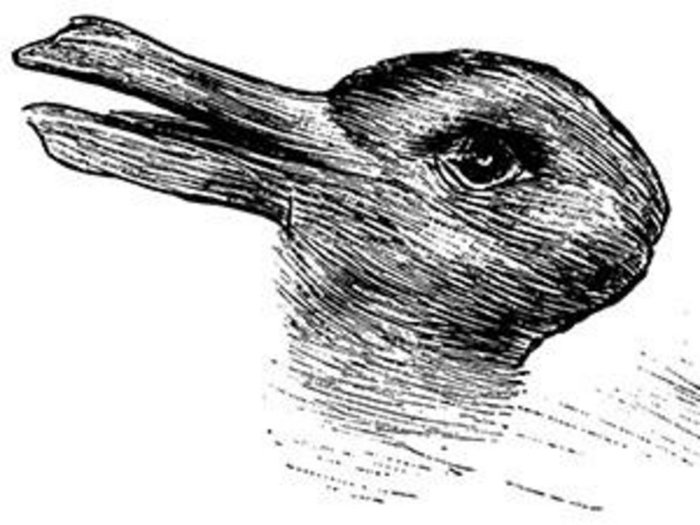 For the left image, do you see a duck or a rabbit? For the image on the right, do you see a young woman or an old lady? These famous optical illusions help demonstrate how our sense of the world is mediated through ‘reality-tunnels’.