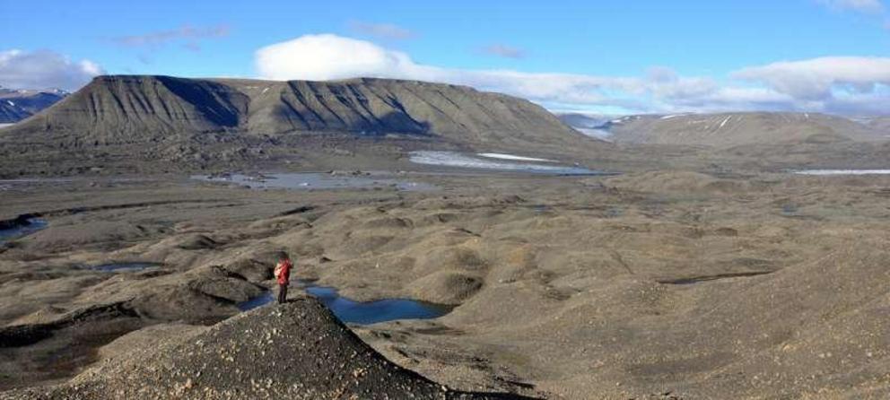 Fossil-bearing rocks on Spitsbergen that produce the earliest ichthyosaur remains.