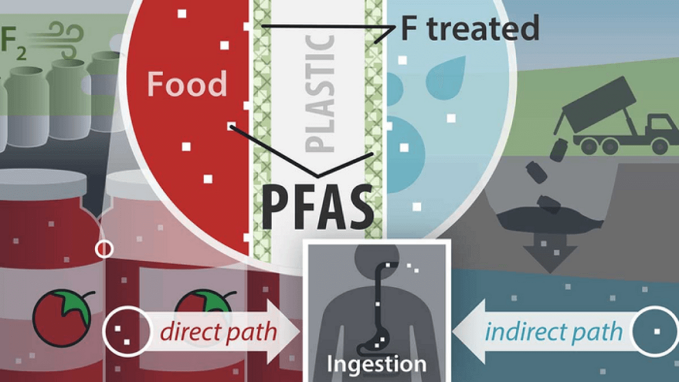 In a new study published in Environmental Science and Technology Letters, fluorinated high-density polyethylene (HDPE) plastic containers — used for household cleaners, pesticides, personal care products and, potentially, food packaging — tested positive 