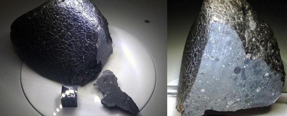 Mars meteorite NWA 7034, AKA 'Black Beauty'. (Institute of Meteoritics, UNM)