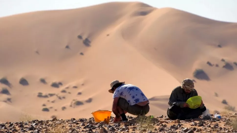 The investigations in southern Oman include landscape features like dry riverbeds and fossilized dunes that can tell them more about how the region's climate has changed over millennia.