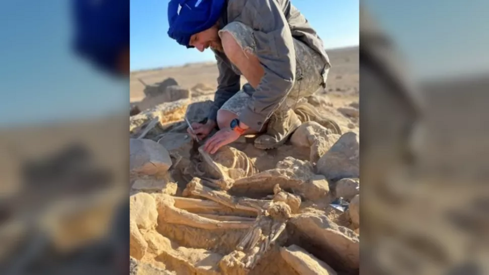 Skulls and bones from more than twenty bodies have been found in the tomb; archaeologists think they were deposited there at different times, after the bodies were left elsewhere to decompose.