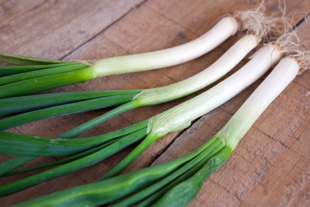 20 plus perennial vegetables that grow in shade Scallions-1684751330205